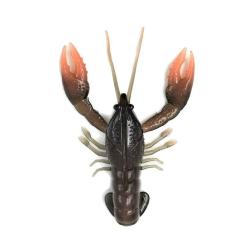 Nikko Craws
